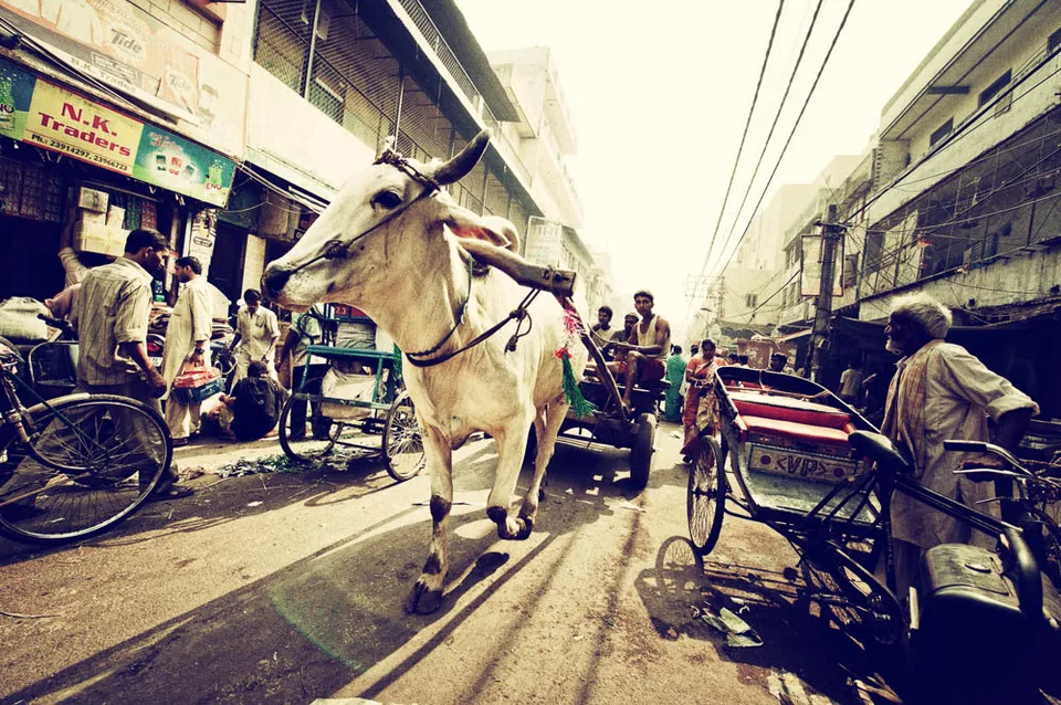 Indien, Foto 15