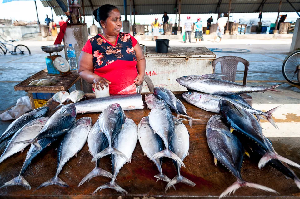 Sri Lanka, Foto 7