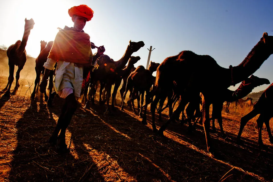 Indien, Foto 8